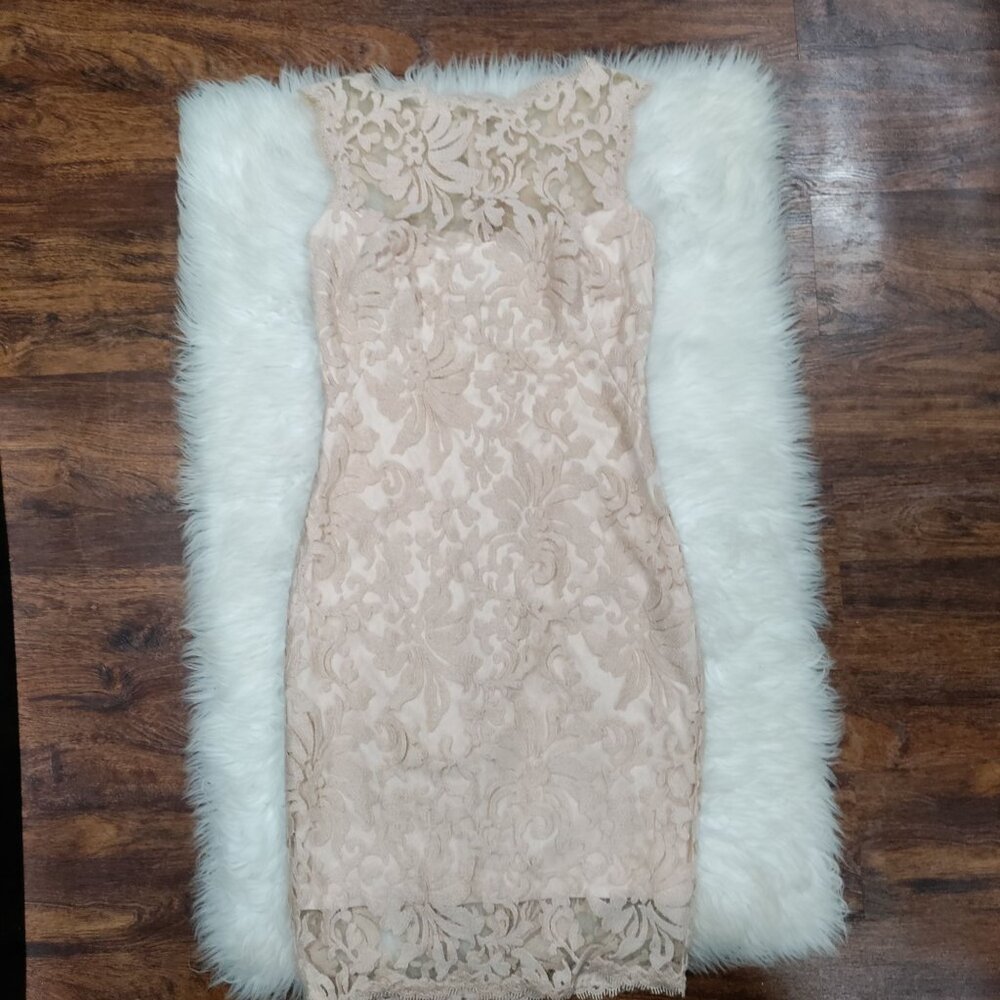 Tadashi Shoji Sheath Dress S Beige Rose Pink Lace Sleeveless - Picture 3 of 10